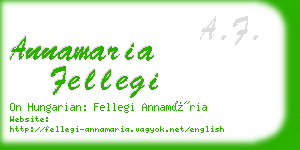 annamaria fellegi business card